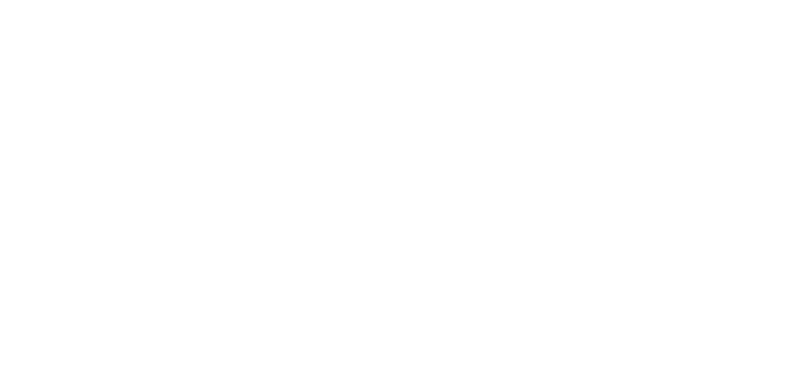 extreme gecko